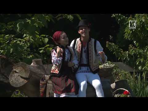 Ansamblul etnofolcloric Romanița - Foaie verde 3 smicele (Official video)