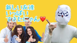 派手派手な友達ができましたにゃん♡