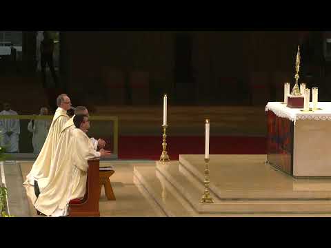 Procession eucharistique du Sanctuaire de Lourdes October 19, 2025 🙏
