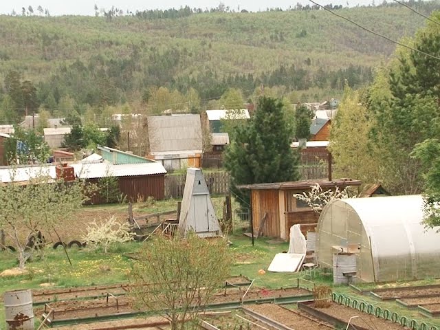 Дачная медицина