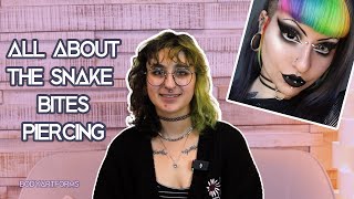 Piercing Guide: Snake Bites Piercing Explained