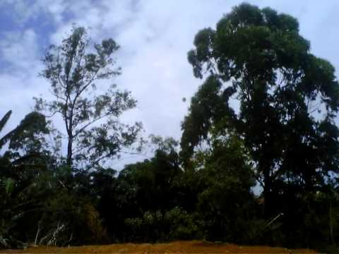 modelado 2 mt  solto hoje dia 12-01-  2014  subiu no mormaço kkkkkkkkkkk