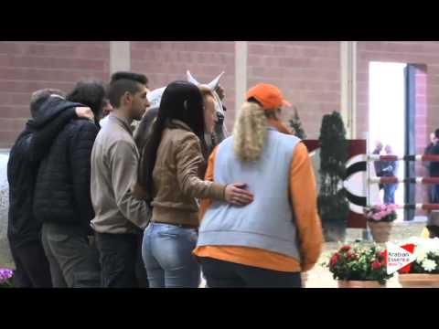 3RD-N.79 MIZAR DI LORIS - Milan 2016 - Mares Championship (Class 19)