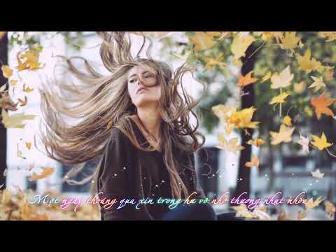 Cơn Gió Thoảng  (Tg: Quốc Dũng) ,,, Bossa Nova ,,, 11/20/23