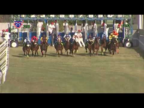 RM2 R8 | Very Vary | A.Aucharuz