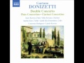 Allegro ma non troppo in D minor - Gaetano Donizetti