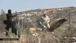 Download lagu Ketapel Palestina mp3 Download lagu Ketapel Palestina mp3