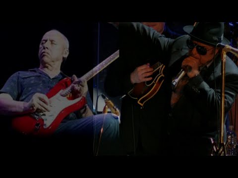 Irish Heartbeat/The last laugh (Van Morrison & Mark Knopfler)