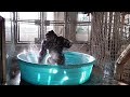 Life Could Be A Dream Remastered 4k Upscaled