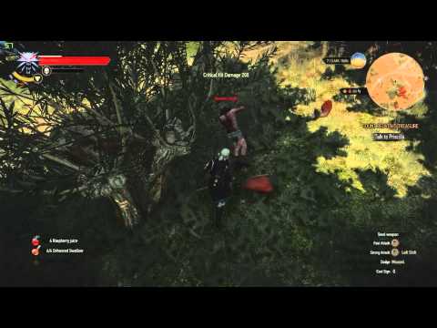 Witcher 3 - 100% stun sword