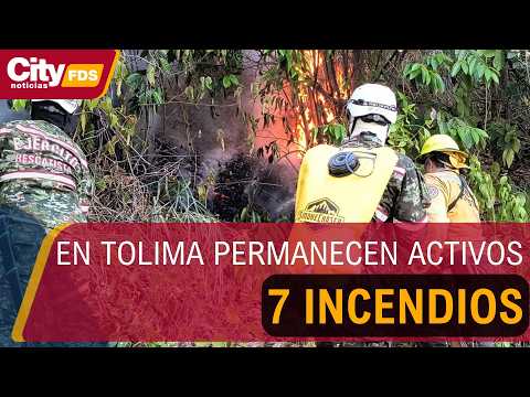 Actualidad de los incendios en Tolima: 7 permanecen activos | CityTv