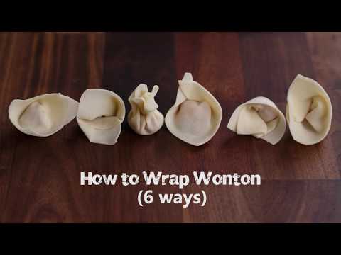 How to Wrap Wonton (common 6 ways)