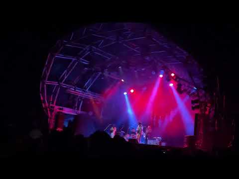 Shintaro Sakamoto Band Live at Field of Heaven,Fujirock Festival’23