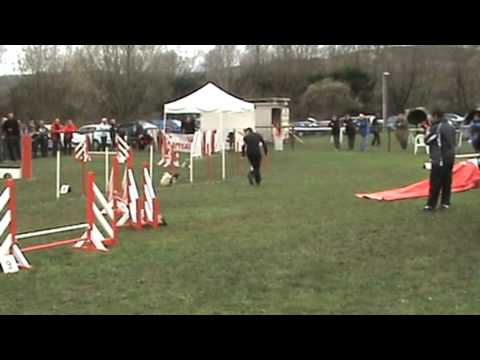 Doriana jumping plus cat A Macon 2015