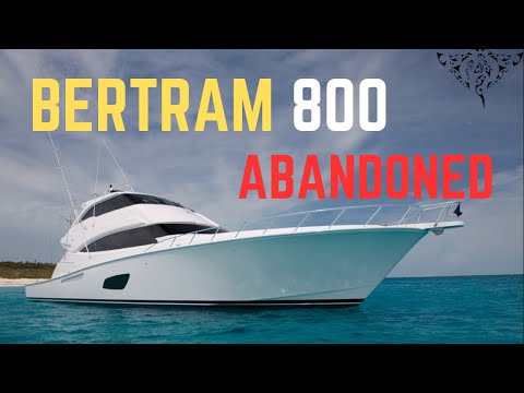 Bertram 800 video