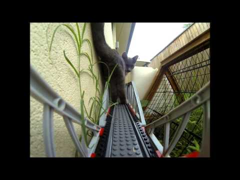 Long/Large Lego Train Set, Videoing Fails / Interruptions. (Drivers View)