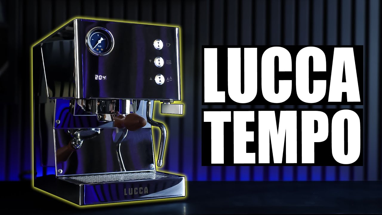 Lucca Tempo | A Little Boiler with A Lot of Potential