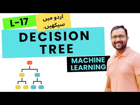 Decision Tree Classification Explained With Python Iris Dataset Example