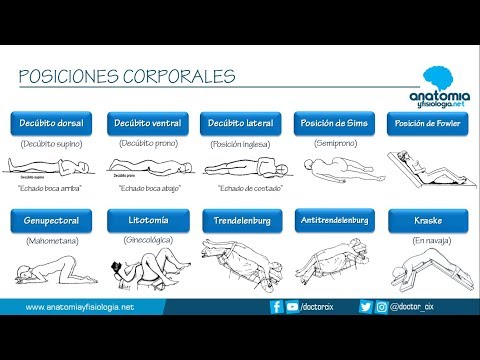 BODY POSITIONS || Anatomy and Physiology Summaries