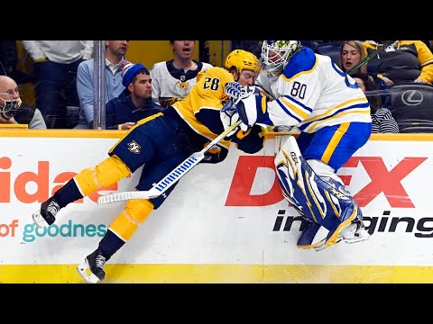 NHL Goalies Hitting Players