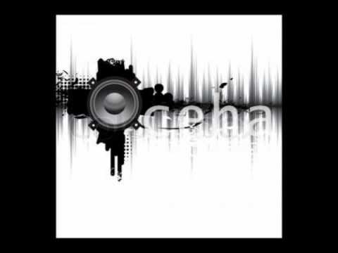 ceha - SKRILLEX ft. avicii and example (Changed The Way You Kiss Me)