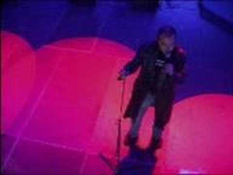 Kayanis  "Where Abandoned Pelicans Die "  Agrykola