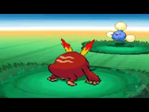 Guia Pokemon Negro 2 Parte 36 Ruta 2 y Pueblo terracota