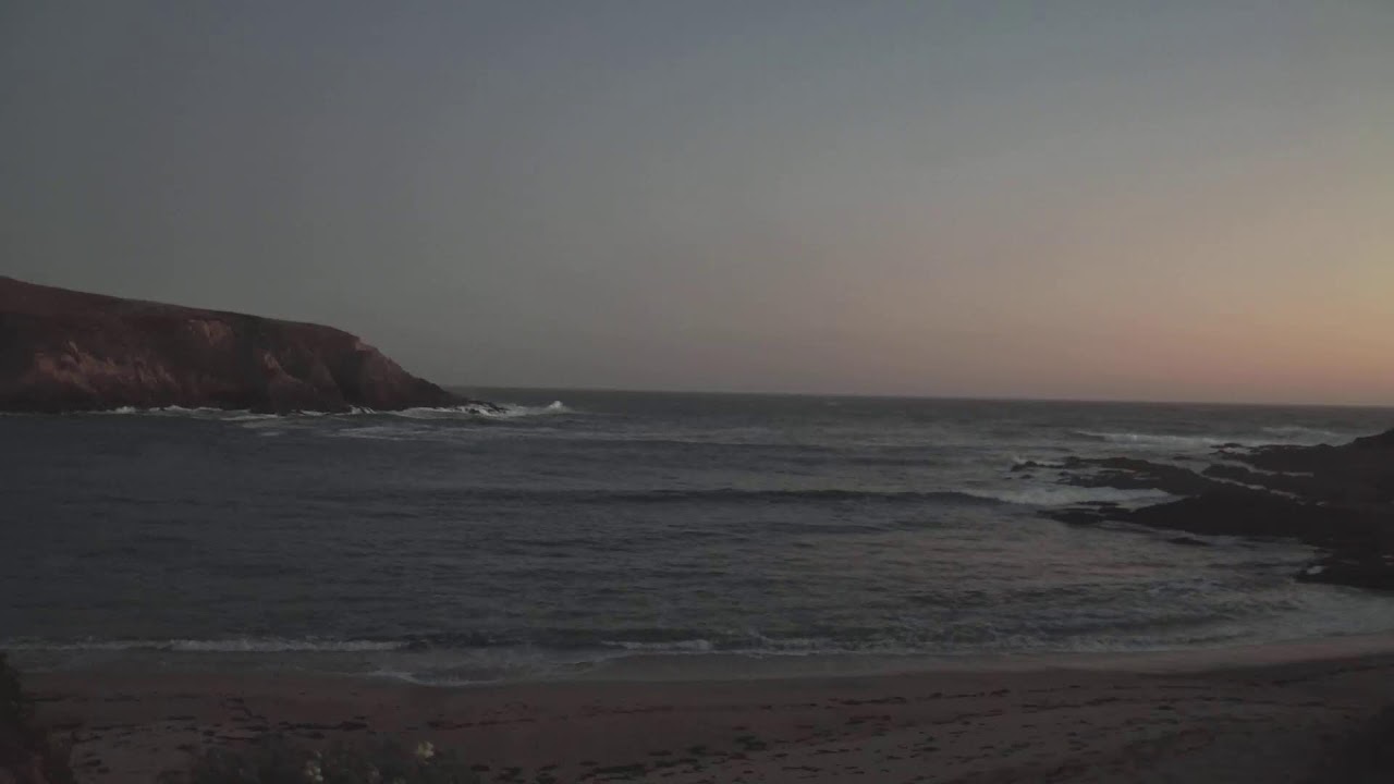 Live webcam view of Horseshoe Cove, Bodega Marine Reserve