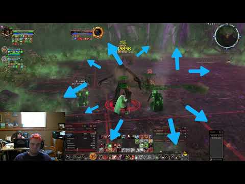 How to do Woe of the Willow T1 - T5