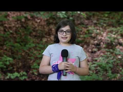 Animalele pădurii - Cristina Ghita