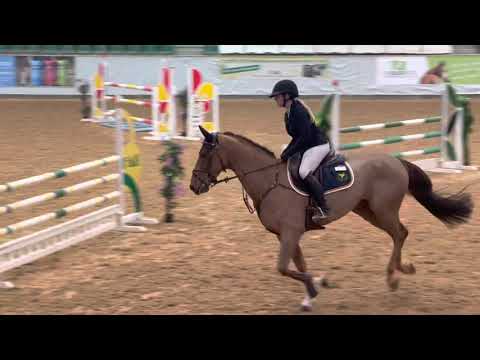 L’AMOUR TOUJOURS (6yo For Pleasure) 02.22 Kreuth - SPF L 115/120 cm