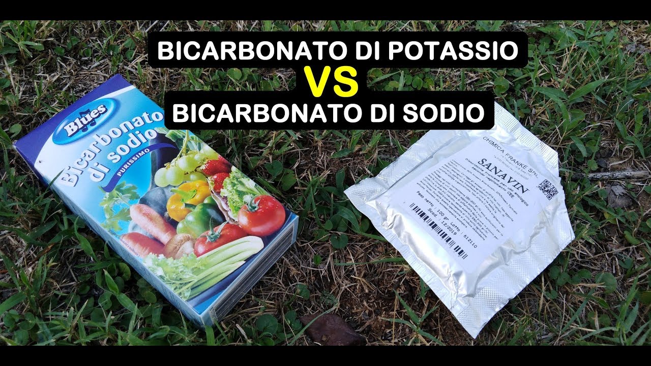 DIFFERENZA BICARBONATO DI SODIO E DI POTASSIO