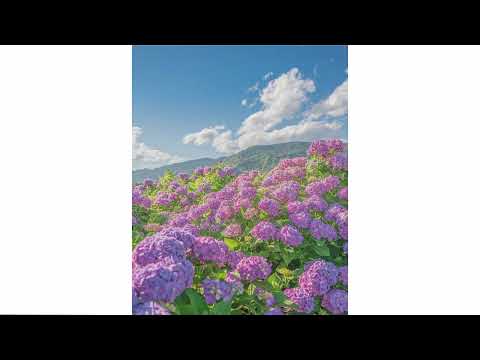 *FREE* BLADEE + I9BONSAI + RIPSQUAD TYPE BEAT ''embrace'' (prod. @rodmadeit_)