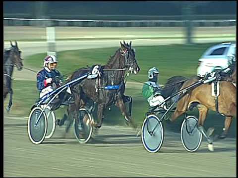 Trotto 02/12/2016 - 4ª corsa