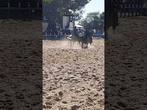 Vaquejada de Feira da Mata - Bahia