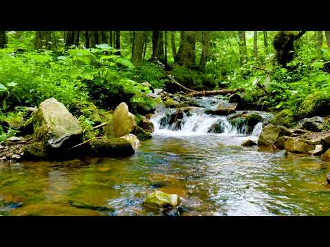 Ukraine Mountain Stream, Water flowing Sound 4k. Forest Stream Sounds/ Sleep & Relaxation 10 hours.