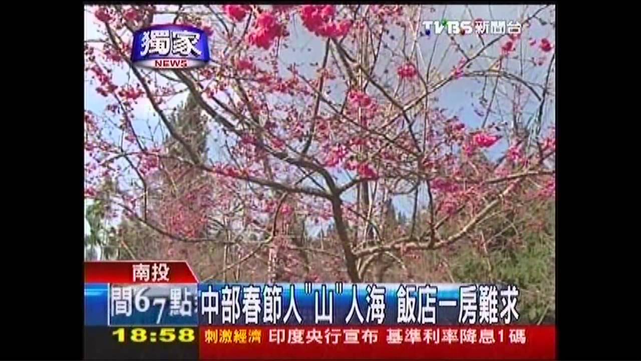 〈獨家〉大爆滿！靠山大賺　春節1房2萬5都搶光