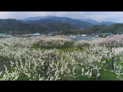 南アルプス市ドローンＰＶ（春編）