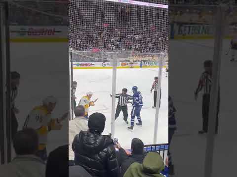 Brawl between the Leafs and Predators- Part 2 (Wayne Simmonds)