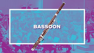 The Bassoon