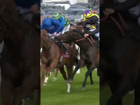 Horse tries to bite rival!