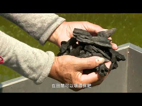 有標章 好安心  產銷履歷烏殼綠竹筍