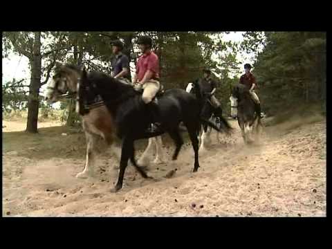 BBC Look East News Football New Season Stevenage & Dimensions Movie & Norfolk Holcombe Horses