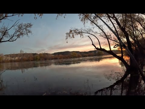 Pescando en Rio Negro Villa regina Isla del Morti !! #pesca #lineadepesca #rionegro #fishing #carp