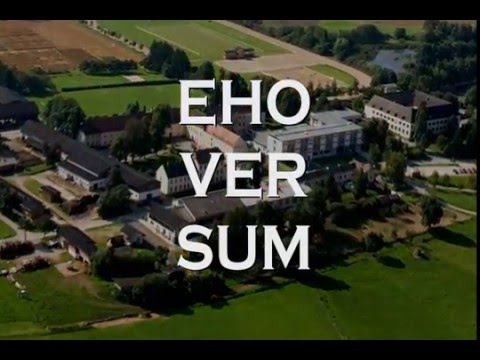 Edelhoferball - EHO versum