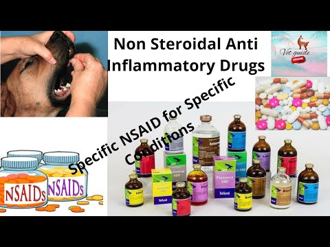 Non Steroidal Anti inflammatory Drugs | Use of various NSAIDs in specific conditions in animals