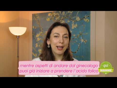 Controindicazioni del gel per giunti cavallo Articolazioni degli arti superiori fisiologia scaricare
