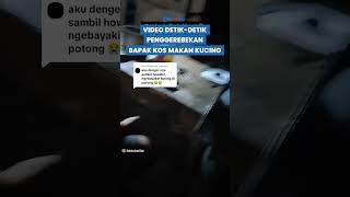 Viral! Penggerebekan Bapak Kos di Semarang: Makan 10 Kucing untuk Obat?