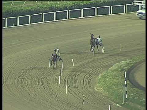 Trotto 19/11/2017 - prova di qualifica