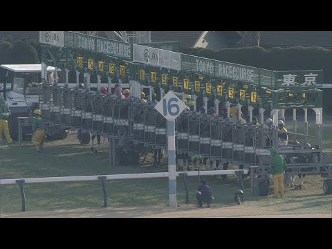 2021 February Stakes (G1)